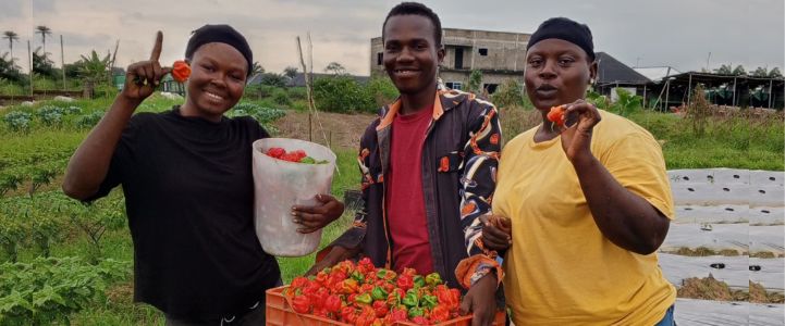 Capacity Building & Empowerment Program for Agriprenuers and Smallholder Farmers